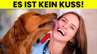 Der WAHRE Grund, warum Hunde dein Gesicht lecken (und es ist NICHT süß!)