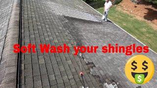 Soft Wash Roof Cleaning. [Best Roof Wash Method]