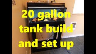 Complete 20 gallon long tank build and setup with stand and sump.