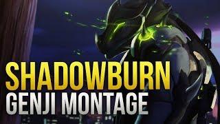 ShaDowBurn - GOD Genji Montage - Overwatch Montage