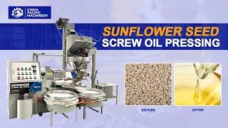 Cold Pressed Sunflower Seeds Screw Oil Press Machine|CE Soybean Peanut Sesame Seeds Oil Expeller