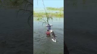 Amazing videography creative idea  #creativecontentcreator #shortvideo