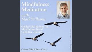 30 Min Silent Meditation (Bells At 5, 10, 15, 20 & 30 Mins)
