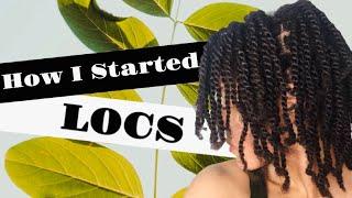 How I Started My Locs - Journey to “Semi Freeform” (No Retwist) | Loc Routine + Frustrations