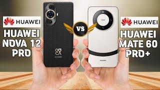 Huawei Nova 12 Pro Vs Huawei Mate 60 Pro+ Comparison.