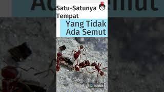 5 Fakta Aneh Antartika