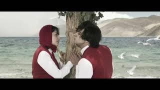 Sanamre song cover with Persian subtitles