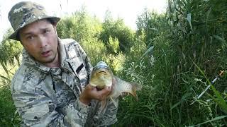 Забрели на дикий водоем