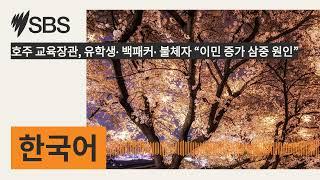 호주 교육장관, 유학생∙ 백패커∙ 불체자 “이민 증가 삼중 원인” | SBS Korean - SBS 한국어 프로그램