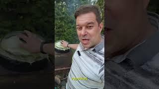Готовим Басму