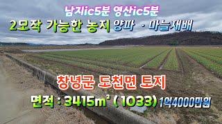 C491  2모작 가능한 창녕농지 남지ic5분 영산ic5분 창녕땅 도천토지 도천땅