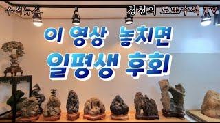 [청천 노윤호의 4차원적인 양석 알짜비법 대공개] 이 영상 놓치면 일평생 후회