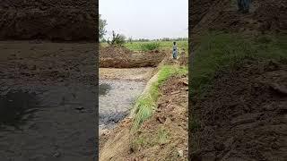 waterponit#rdco #needsupport #short#youtube #safedrinking water