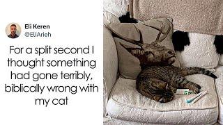 If You’re in Need of a Laugh, These Hilarious Tweets Could Do the Trick