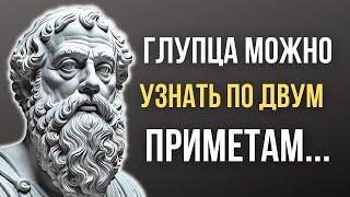 Платон, мудрые Цитаты, которые стоит знать и помнить! Мудрость жизни в цитатах