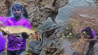 മോട്ടോർ കുഴിവറ്റിത്തുടങ്ങി ഇനി മീൻ ചാകര |Earth Lovers Media|Real Life vlog