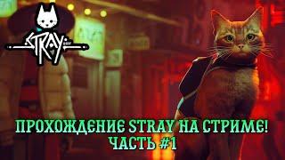 Прохождение Stray! Часть 1. TWITCH: Art1xio