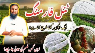 November 2024 me kon c profitable crops lgaen? zameen ki tyari se ly kr katai tk rehnmai |IR FARM