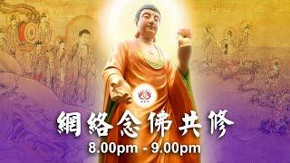 【同步】净土宗网络念佛【第1823天】+ 开示视频《人生如梦》 15-03-2025 Online Recitation Session（晚上8pm-9pm (GMT+8))【打开CC字幕】