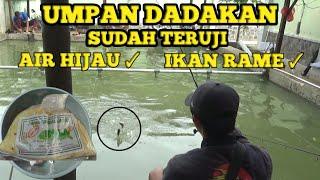 REKOMENDASI RESEP UMPAN IDOLA GEPENG DADAKAN !! GA NYANGKA IKAN MAKAN UGAL - UGALAN