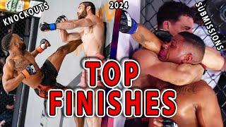 Top MMA Finishes 2024: Knockouts & Submissions - 2