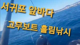 제주 고무보트 흘림낚시 벵에돔 부시리 낚시