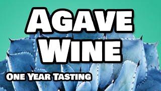 Agave Wine One Year Tasting