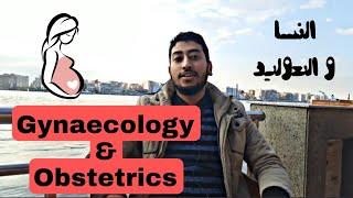 راوند النسا و التوليد الرايق | نصايح لكلية الطب  Gynaecology and obstetrics