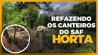 Como é feita a renovação de uma horta Agroflorestal I Atualização 4 meses I Episódio 5