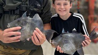 Fuerteventura fishing - How to get a licence and where to fish with kids