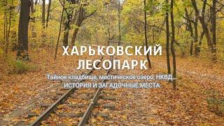 Kharkiv Lesopark: what the forest area hides