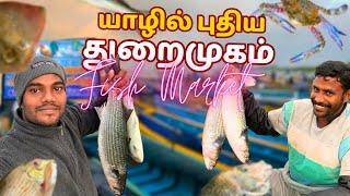 யாழில் புதிய துறைமுகம்அதிகமான கடலுணவு ஏற்றுமதி | Thanuran Vlogs