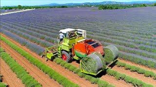 Lavender harvest in round bales | Valensole France | Unique self propelled harvester