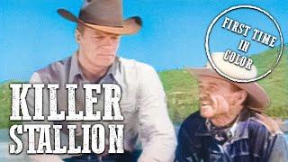 Fury - Killer Stallion | EP2 | COLORIZED | Full Episode | Classic Western TV Show