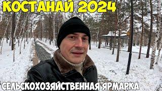 Костанай Сельскохозяйственная ярмарка в Сити Центре, что продают 2024 год