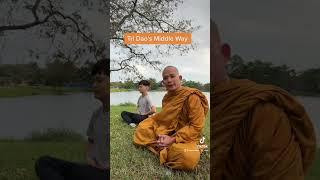Tri Dao's Middle Way #meditation #spirituality #mindfulness #theravada #buddhism #buddhist