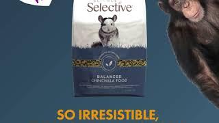 Science Selective Balanced Chinchilla Food