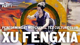 Xu Fengxia performing at Moychay.nl Tea Culture Club, part 1