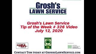 Grosh,s Lawn Service Tip of the Week # 326 Video July 12, 2020 Hagerstown MD