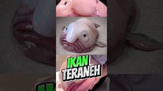 Ikan Teraneh di Dunia