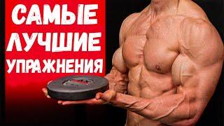 Самые лучшие упражнения на каждую группу мышц | Джефф Кавальер