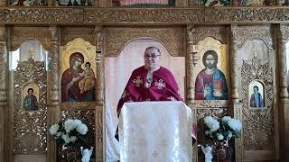 Pr. Nicolae Pavel - Fa-ti ordine in suflet