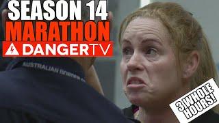 Border Security Australia Marathon - Eight Episodes of Crazy Passengers!