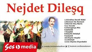 Nejdet Dileşq - Çaçanê