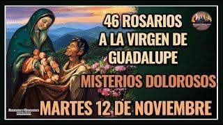 46 ROSARIOS A LA VIRGEN DE GUADALUPE: MISTERIOS DOLOROSOS - GUADALUPANO / MARTES 12 NOVIEMBRE 2024.