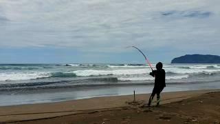 DUA KALI STRIKE IKAN BESAR MANCING PASIRAN DI PANTAI SELATAN