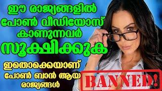 ഇതൊക്കെയാണ് ബാൻ ചെയ്ത രാജ്യങ്ങൾ  | Banned Sites | Operation Phunt Malayalam | Revokerz Media