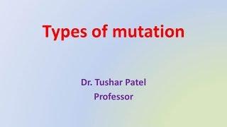 What are the various types of mutation