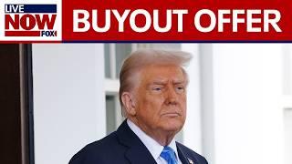 Trump's federal worker buyout offer restored by judge | LiveNOW from FOX