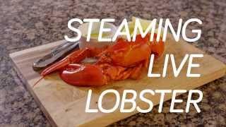 Cooking Lobster Tips - How to Steam Live Maine Lobsters